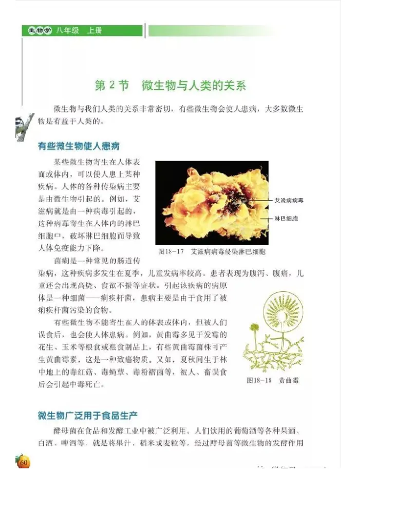 北师大版初中生物8年级上册电子课本_初中电子课本_9.生物_北师大版
