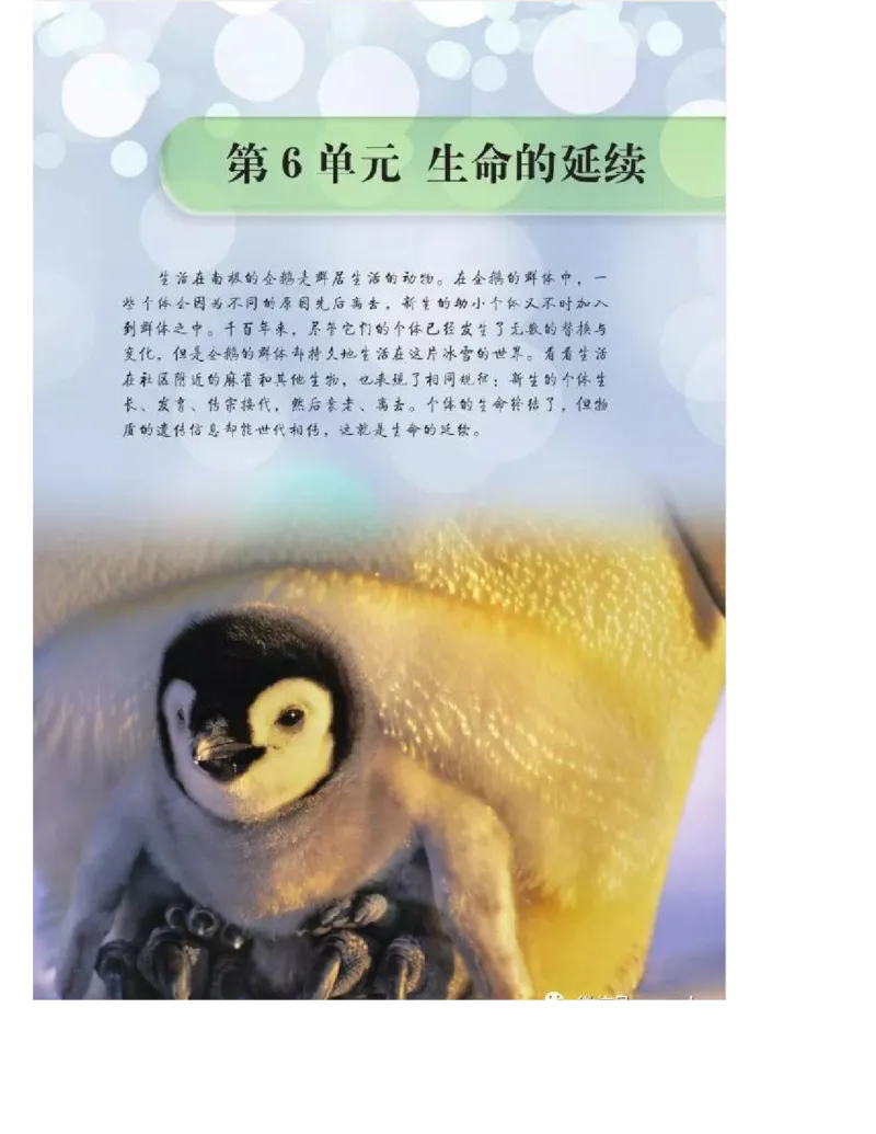 北师大版初中生物8年级上册电子课本_初中电子课本_9.生物_北师大版