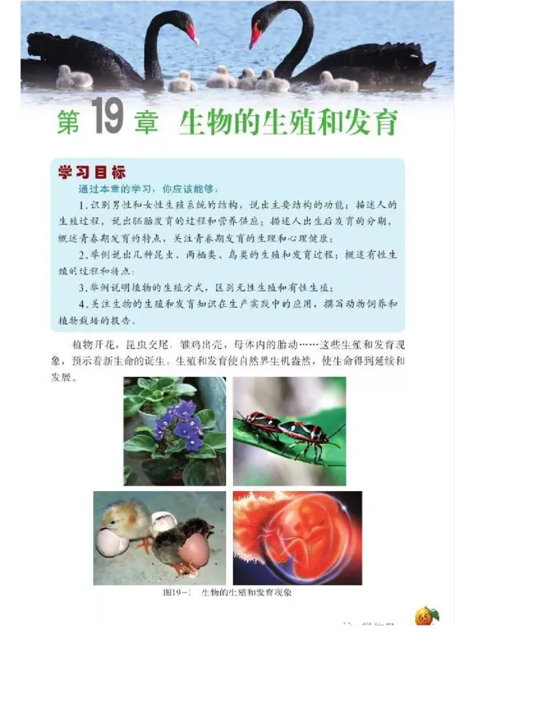 北师大版初中生物8年级上册电子课本_初中电子课本_9.生物_北师大版