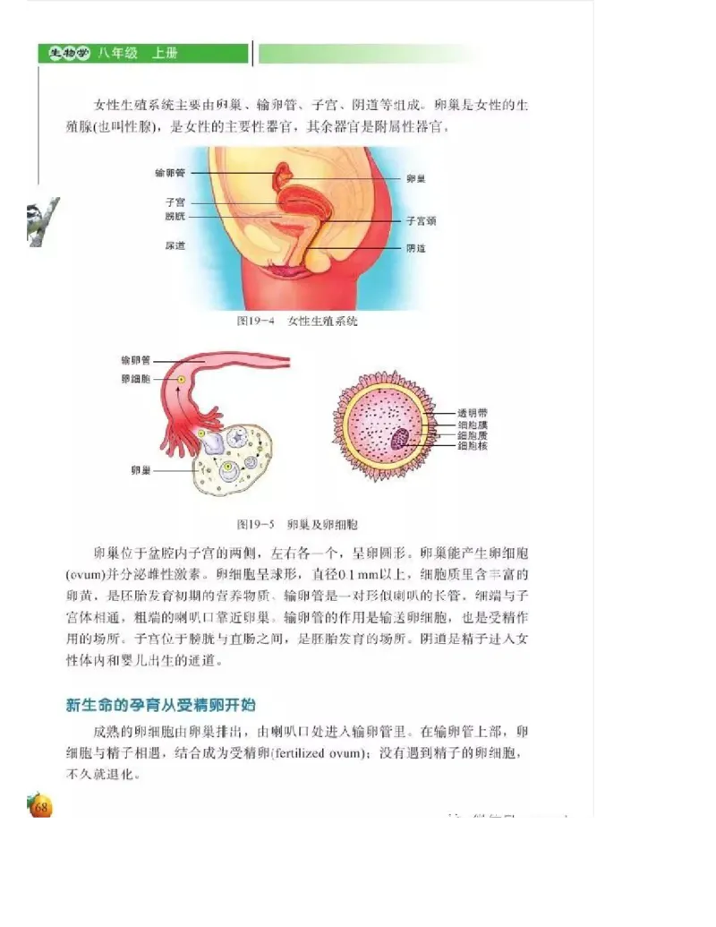 北师大版初中生物8年级上册电子课本_初中电子课本_9.生物_北师大版