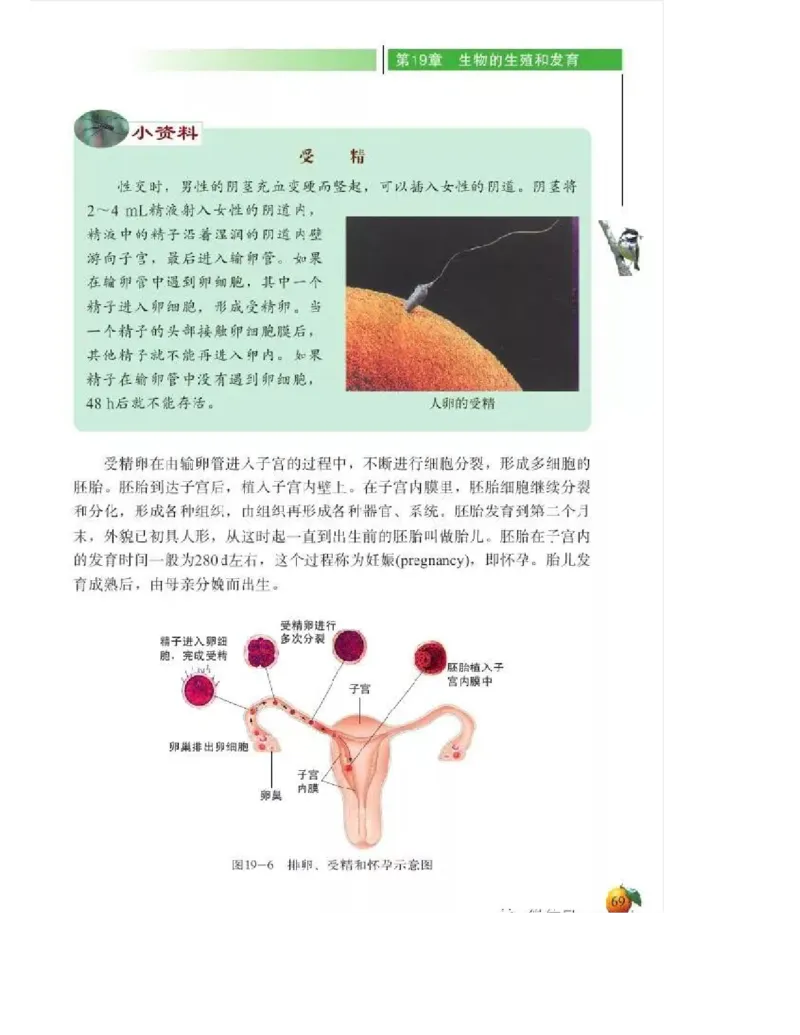 北师大版初中生物8年级上册电子课本_初中电子课本_9.生物_北师大版