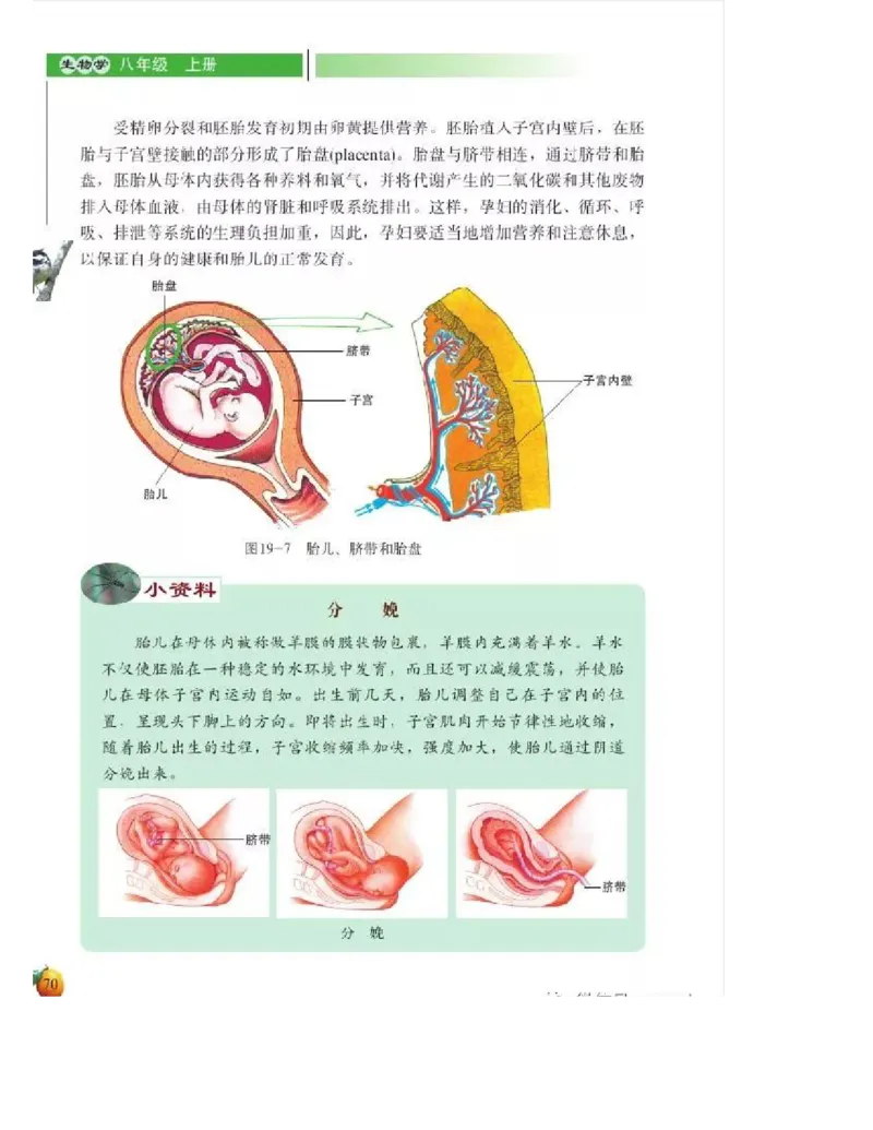 北师大版初中生物8年级上册电子课本_初中电子课本_9.生物_北师大版