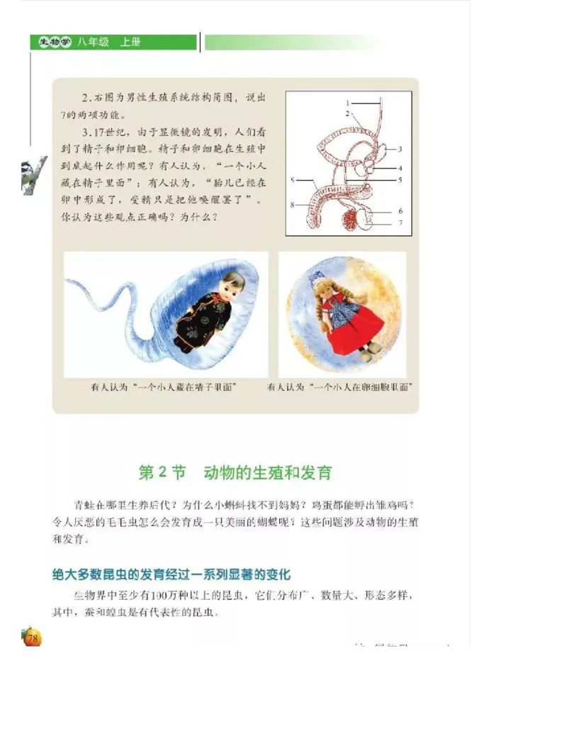 北师大版初中生物8年级上册电子课本_初中电子课本_9.生物_北师大版