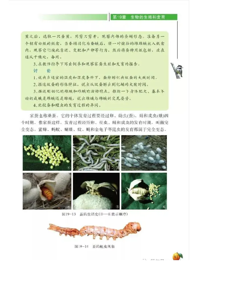 北师大版初中生物8年级上册电子课本_初中电子课本_9.生物_北师大版