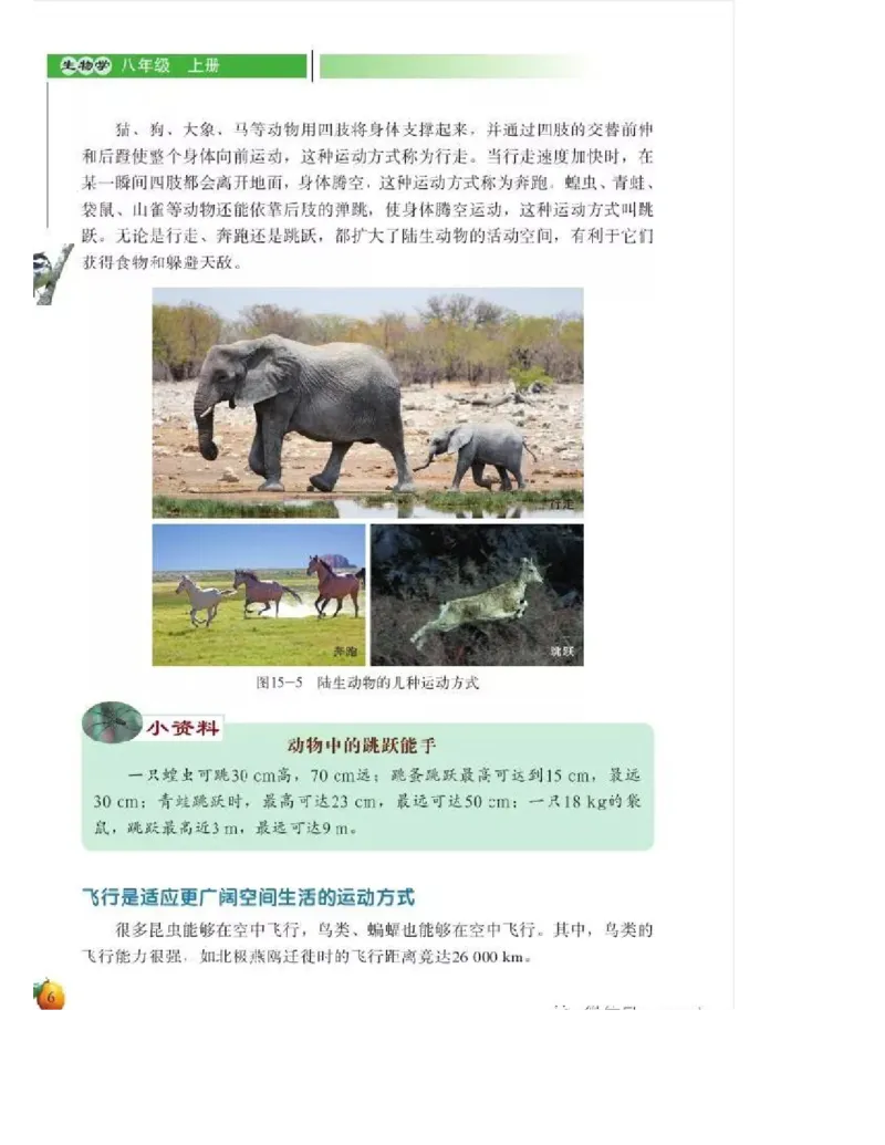 北师大版初中生物8年级上册电子课本_初中电子课本_9.生物_北师大版