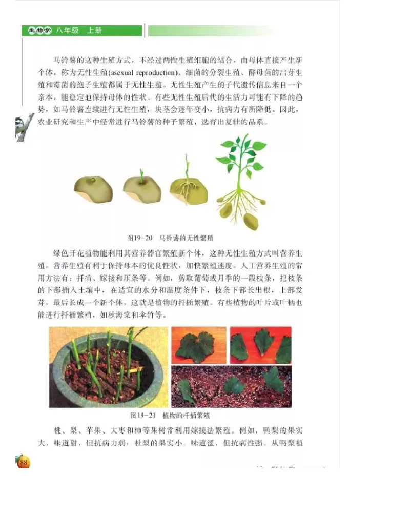 北师大版初中生物8年级上册电子课本_初中电子课本_9.生物_北师大版