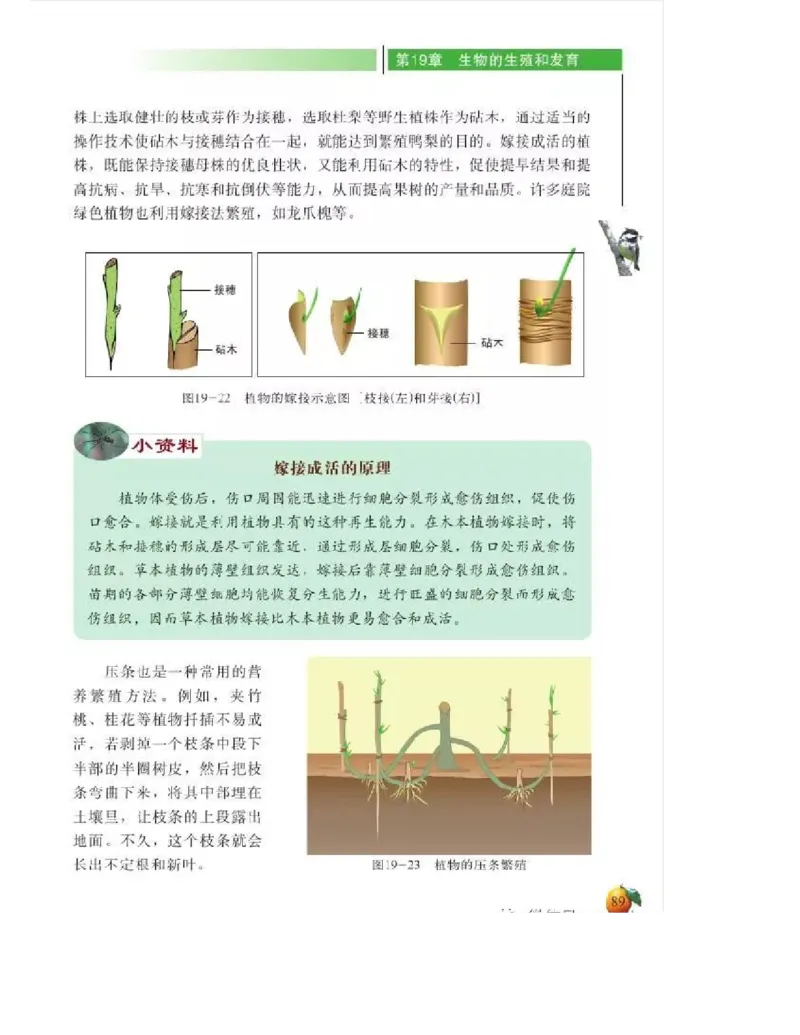 北师大版初中生物8年级上册电子课本_初中电子课本_9.生物_北师大版