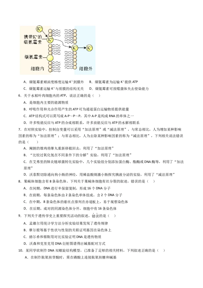 黄金卷04（新教材单科）-赢在高考&middot;黄金8卷备战2024年高考生物模拟卷（全国卷专用）（考试版）_2024年新高考资料_4.2024高考模拟预测试卷