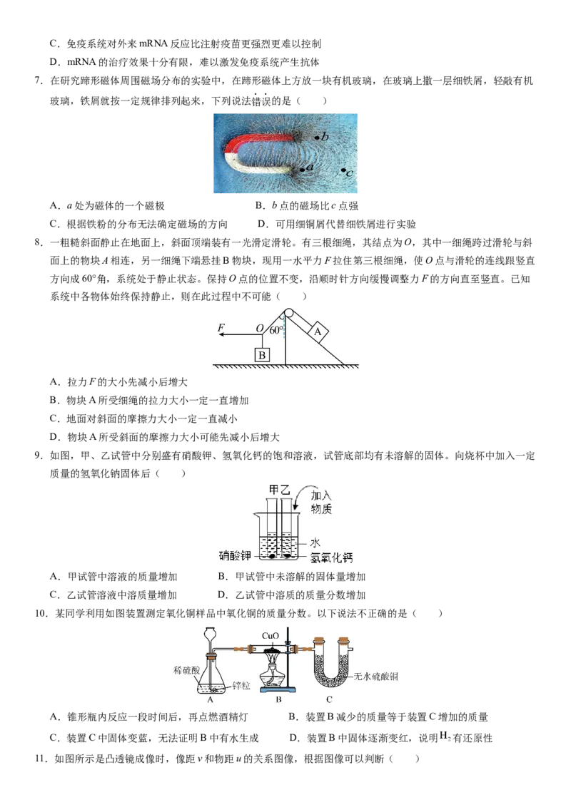 科学（浙江卷）-（考试版A4）_8、物理总复习_2024中考模拟题物理_押题预测_2024年中考押题预测卷01（浙江卷）-科学（含考试版、全解全析、参考答案、答题卡）