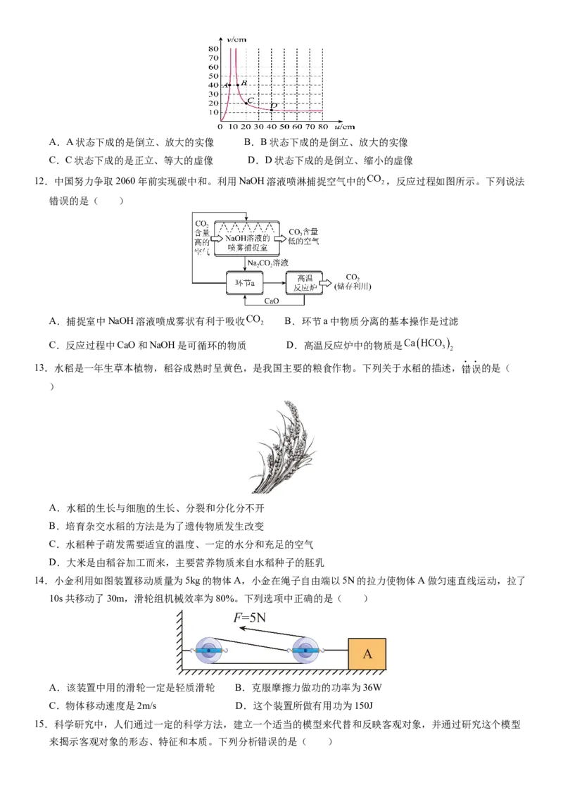 科学（浙江卷）-（考试版A4）_8、物理总复习_2024中考模拟题物理_押题预测_2024年中考押题预测卷01（浙江卷）-科学（含考试版、全解全析、参考答案、答题卡）