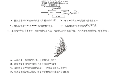 科学（浙江卷）-（考试版A4）_8、物理总复习_2024中考模拟题物理_押题预测_2024年中考押题预测卷01（浙江卷）-科学（含考试版、全解全析、参考答案、答题卡）