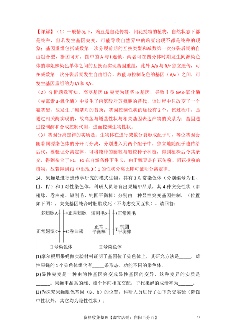 专题09生物的变异、进化与育种（解析版）_新高考复习资料_2024年新高考复习资料_一轮复习资料_完备战2024年高考生物一轮复习重难点突破讲解与训练（新教材）