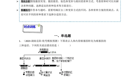 专题09生物的变异、进化与育种（解析版）_新高考复习资料_2024年新高考复习资料_一轮复习资料_完备战2024年高考生物一轮复习重难点突破讲解与训练（新教材）