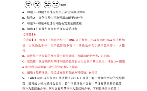 专题09生物的变异、进化与育种（解析版）_新高考复习资料_2024年新高考复习资料_一轮复习资料_完备战2024年高考生物一轮复习重难点突破讲解与训练（新教材）