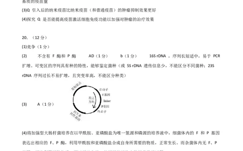 黄金卷04（参考答案）-赢在高考&middot;黄金8卷备战2024年高考生物模拟卷（北京专用）_2024年新高考资料_4.2024高考模拟预测试卷