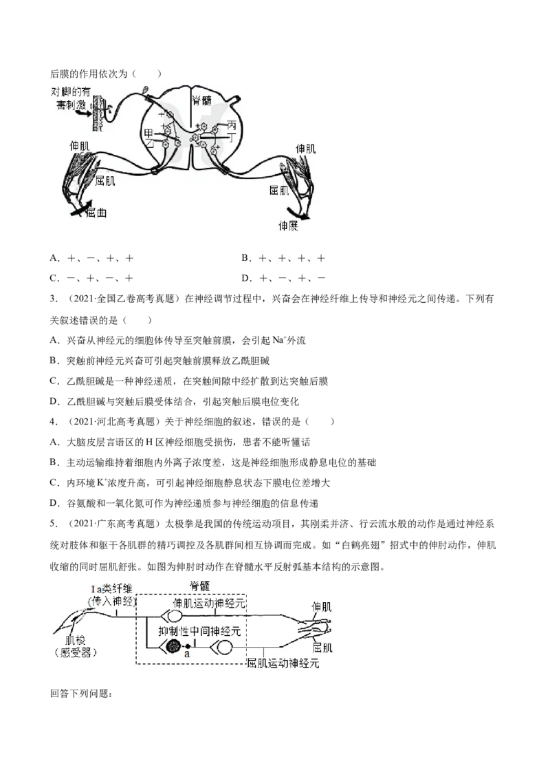 专题13神经调节-2021年高考真题和模拟题生物分项汇编（原卷版）_新高考复习资料_2022年新高考复习资料_2021年高考真题和模拟题生物分项汇编7.30更新