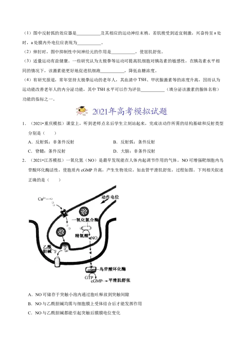 专题13神经调节-2021年高考真题和模拟题生物分项汇编（原卷版）_新高考复习资料_2022年新高考复习资料_2021年高考真题和模拟题生物分项汇编7.30更新