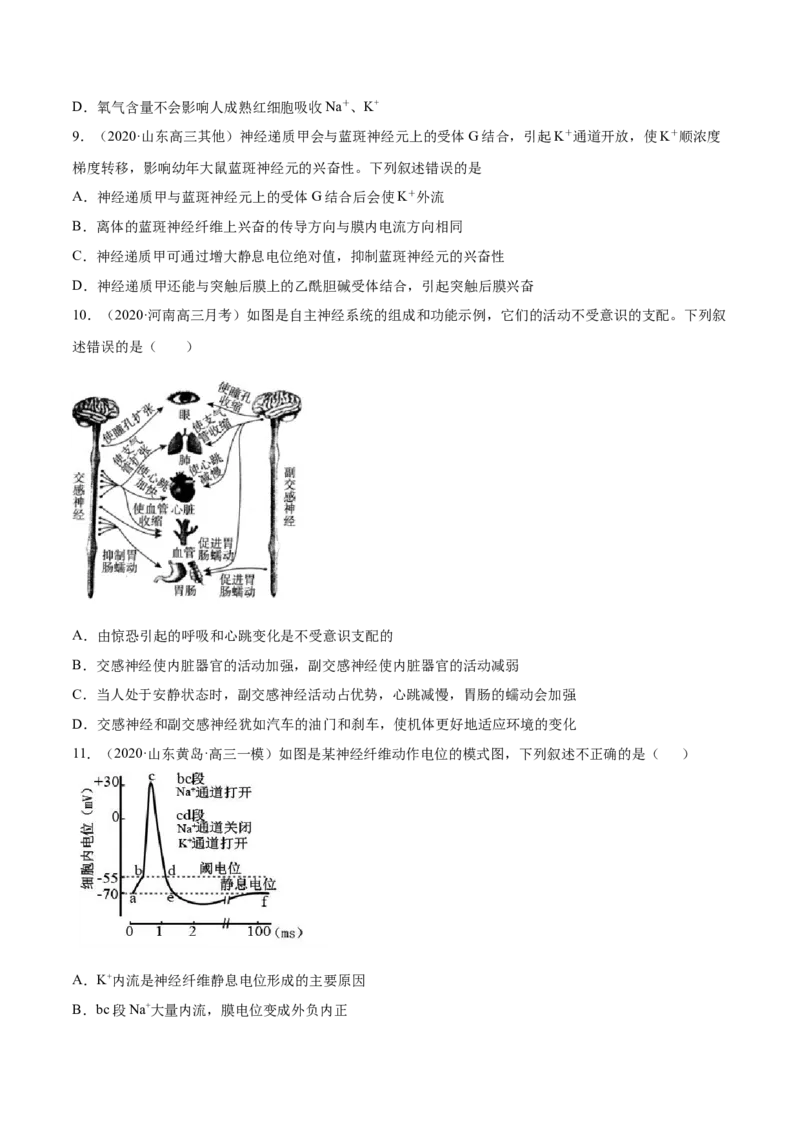 专题13神经调节-2021年高考真题和模拟题生物分项汇编（原卷版）_新高考复习资料_2022年新高考复习资料_2021年高考真题和模拟题生物分项汇编7.30更新