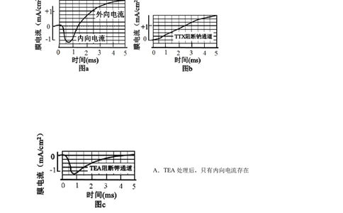 专题13神经调节-2021年高考真题和模拟题生物分项汇编（原卷版）_新高考复习资料_2022年新高考复习资料_2021年高考真题和模拟题生物分项汇编7.30更新