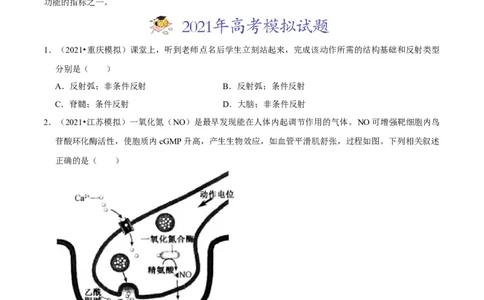 专题13神经调节-2021年高考真题和模拟题生物分项汇编（原卷版）_新高考复习资料_2022年新高考复习资料_2021年高考真题和模拟题生物分项汇编7.30更新
