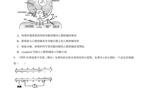 专题13神经调节-2021年高考真题和模拟题生物分项汇编（原卷版）_新高考复习资料_2022年新高考复习资料_2021年高考真题和模拟题生物分项汇编7.30更新