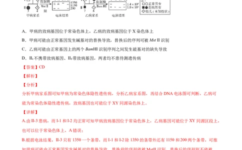 专题10伴性遗传和人类遗传病-2020年高考真题和模拟题生物分项汇编（教师版含解析）_新高考复习资料_2022年新高考复习资料_2022年一轮复习最新版
