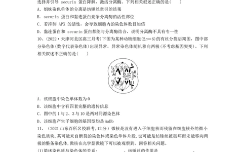 专题11细胞的增殖（精练）（原卷版）_新高考复习资料_2024年新高考复习资料_一轮复习资料_完备战2024年高考生物一轮复习串讲精练（新高考专用）_精练