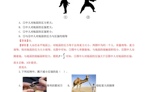 专题10压强（测试）（解析版）_8、物理总复习_2024年中考复习资料_一轮复习_课件+讲义+练习2024年中考物理一轮复习讲练测（全国通用）_配套练习（原卷版+解析版）