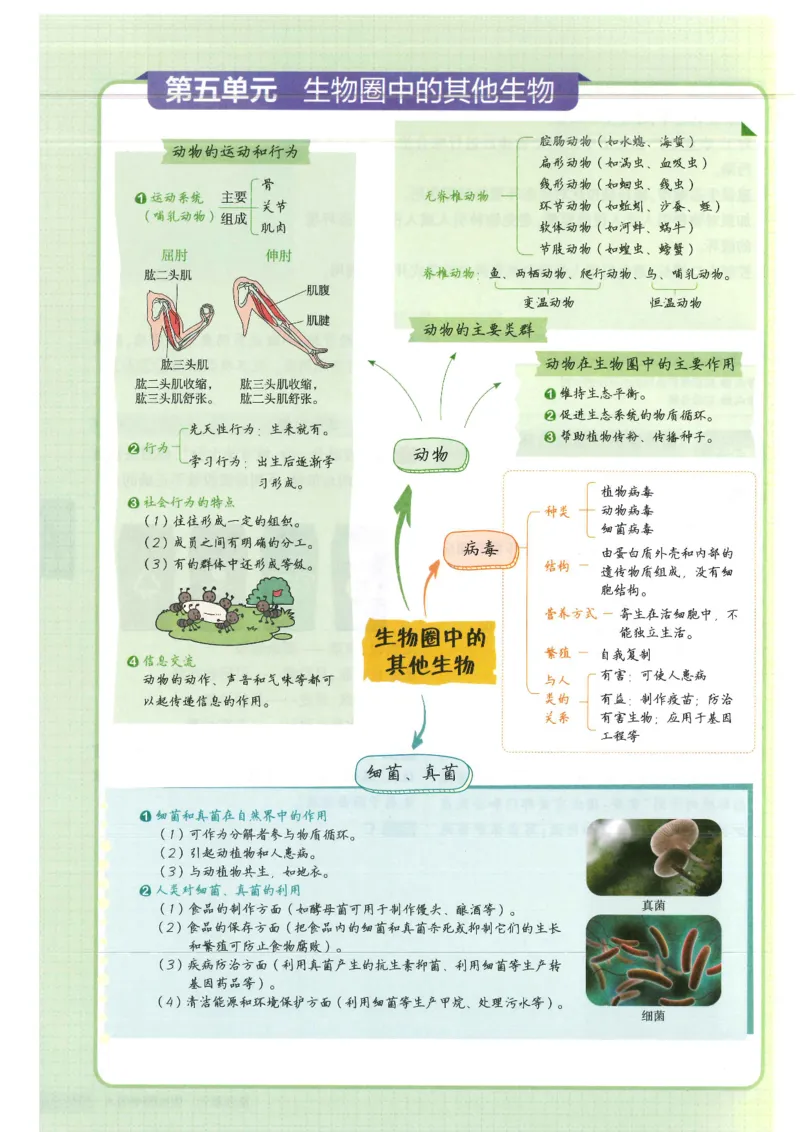 2025版《初中知识清单》-生物_《初中全科目知识点汇总》_2025初中知识清单_生物