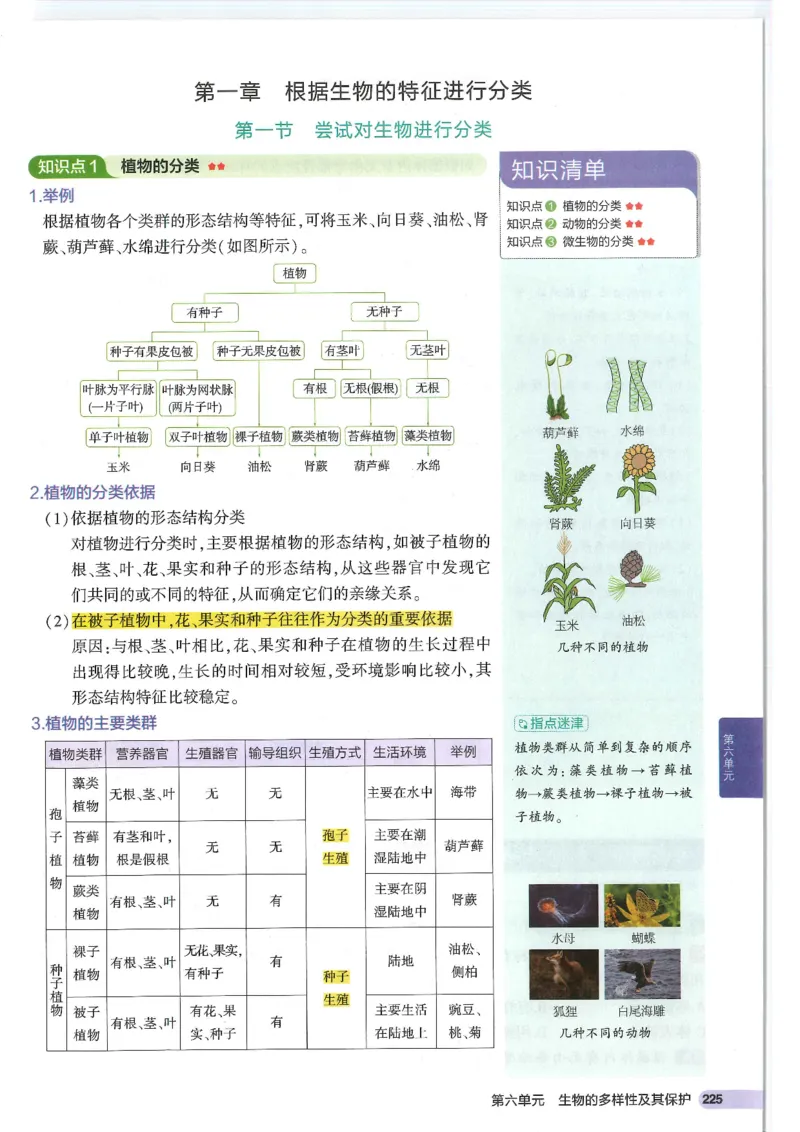 2025版《初中知识清单》-生物_《初中全科目知识点汇总》_2025初中知识清单_生物