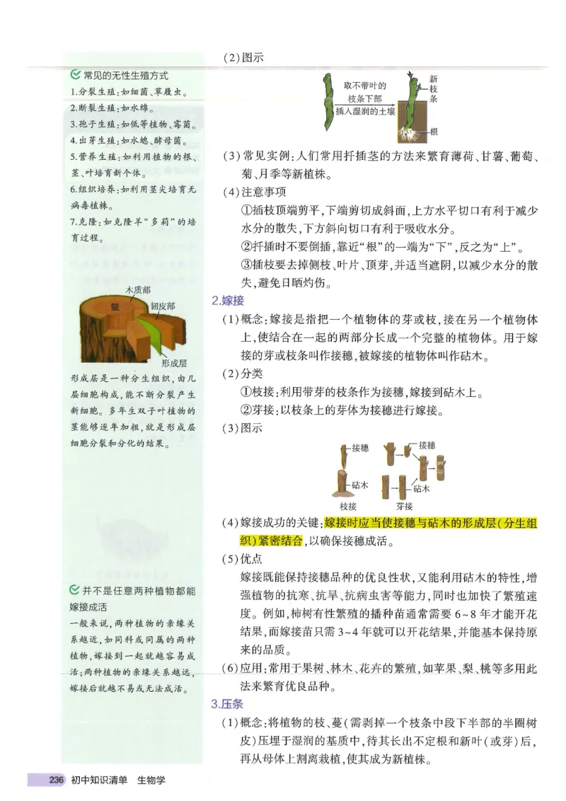 2025版《初中知识清单》-生物_《初中全科目知识点汇总》_2025初中知识清单_生物