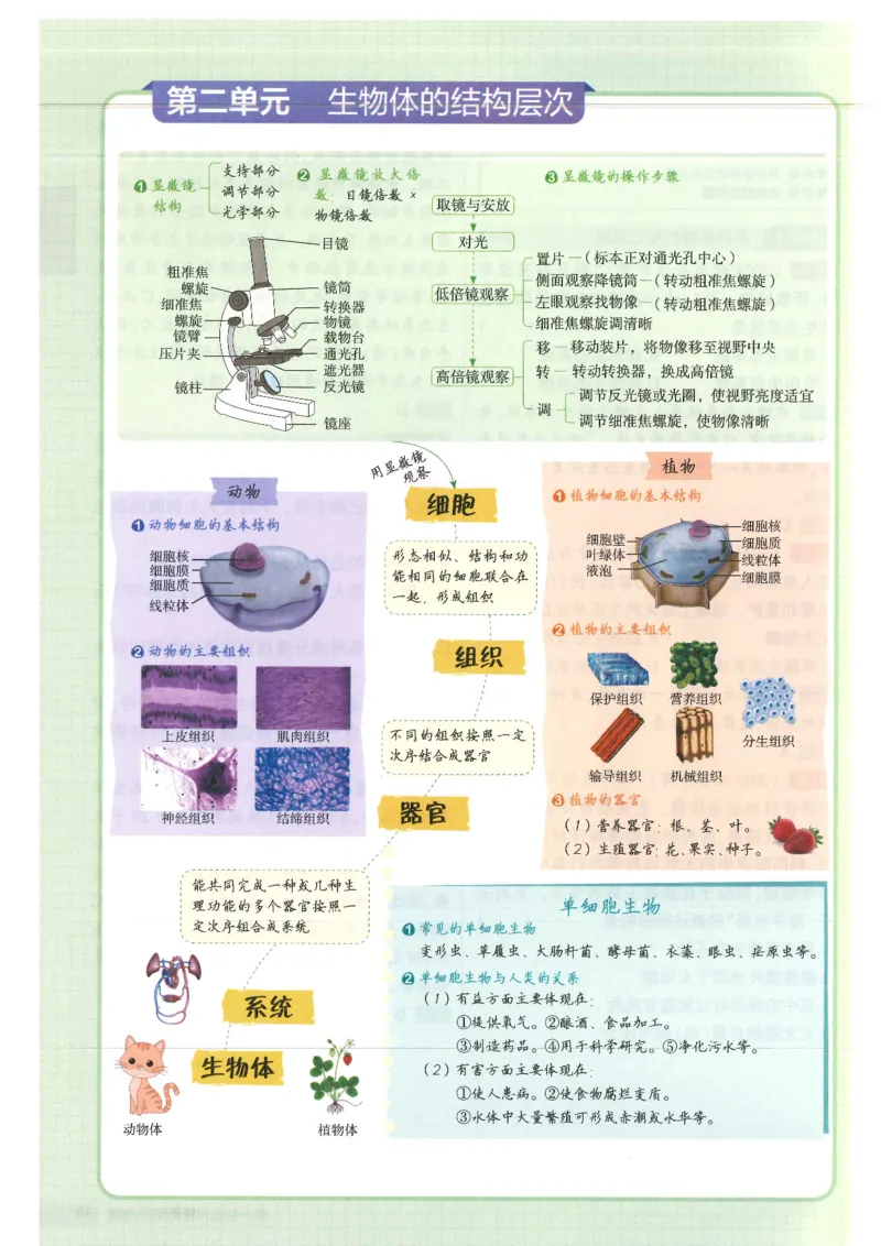 2025版《初中知识清单》-生物_《初中全科目知识点汇总》_2025初中知识清单_生物