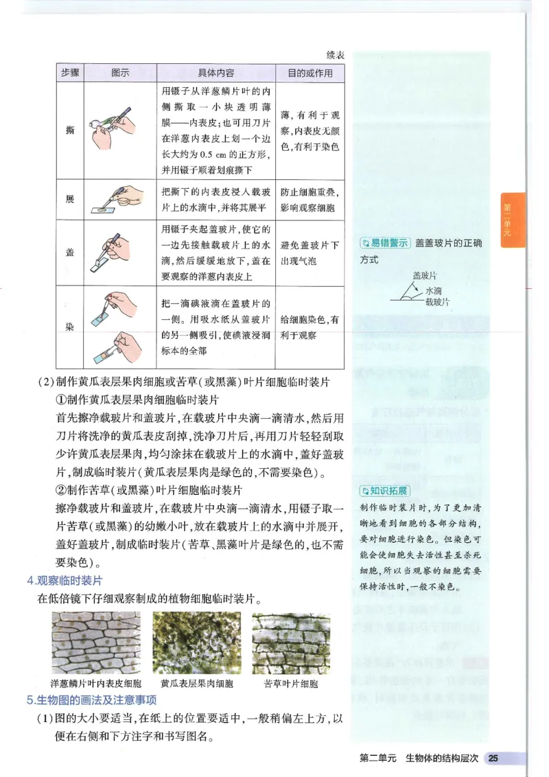 2025版《初中知识清单》-生物_《初中全科目知识点汇总》_2025初中知识清单_生物