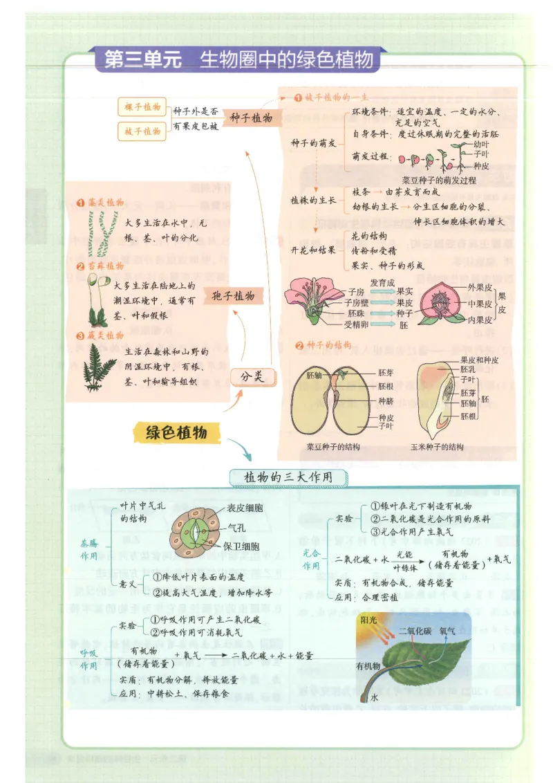 2025版《初中知识清单》-生物_《初中全科目知识点汇总》_2025初中知识清单_生物