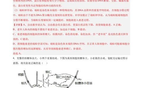 黄金卷07（解析版）-赢在高考&middot;黄金8卷备战2024年高考生物模拟卷（辽宁专用）_2024年新高考资料_4.2024高考模拟预测试卷