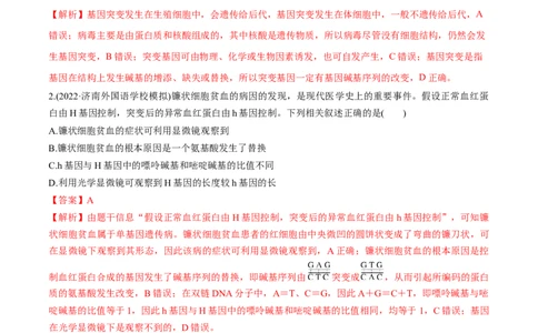 专题10生物的变异和进化（练）-2023年高考生物二轮复习讲练测（全国通用）（解析版）_通用版（老高考）复习资料_2023年复习资料_二轮复习_2023年高考生物二轮复习讲练测（全国通用）