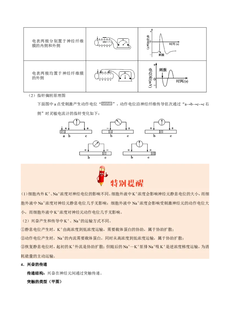 专题09动物生命活动的调节-备战2019年高考生物之纠错笔记系列（原卷版）_新高考复习资料_2022年新高考复习资料_2022年一轮复习最新版_1.2022年高考生物一轮复习全国通用版_原卷版
