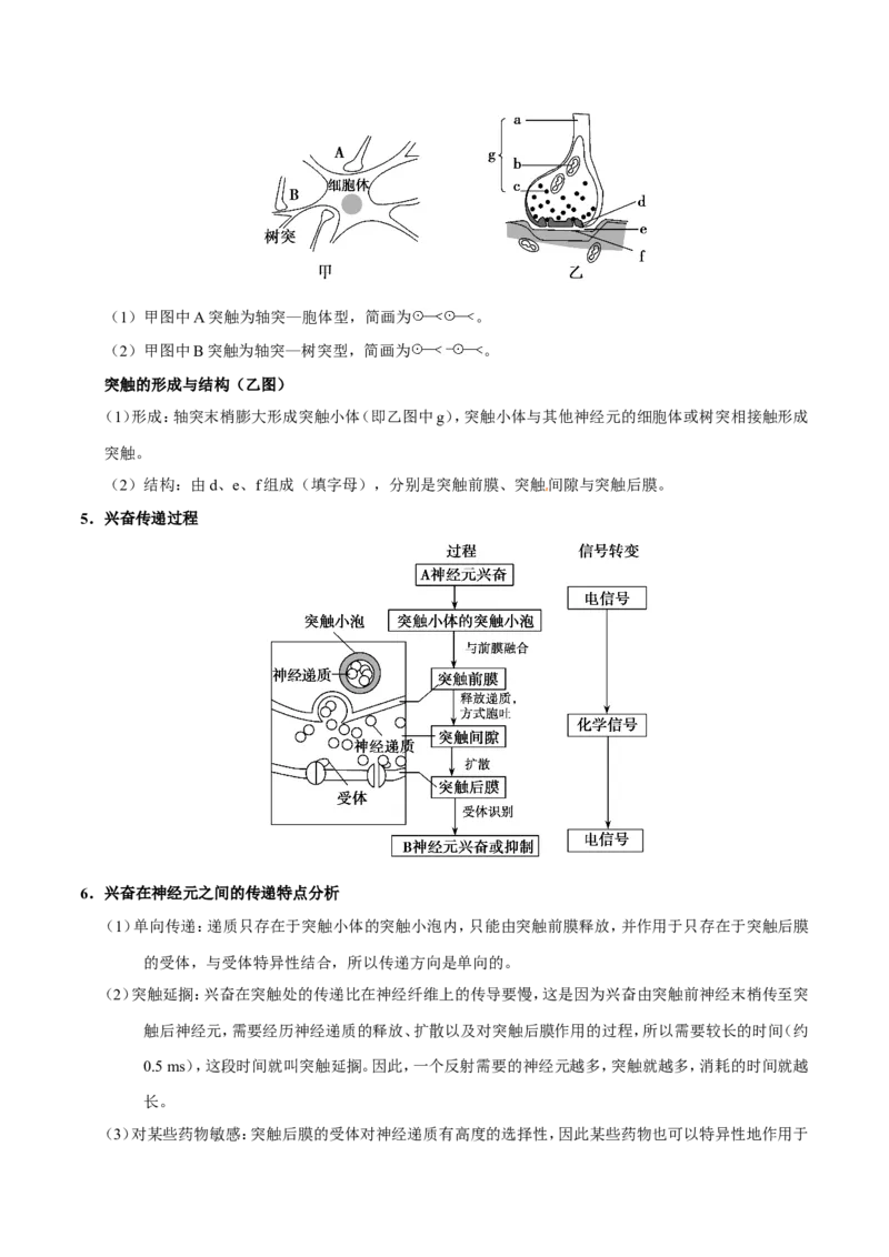 专题09动物生命活动的调节-备战2019年高考生物之纠错笔记系列（原卷版）_新高考复习资料_2022年新高考复习资料_2022年一轮复习最新版_1.2022年高考生物一轮复习全国通用版_原卷版