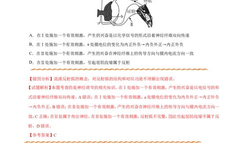 专题09动物生命活动的调节-备战2019年高考生物之纠错笔记系列（原卷版）_新高考复习资料_2022年新高考复习资料_2022年一轮复习最新版_1.2022年高考生物一轮复习全国通用版_原卷版