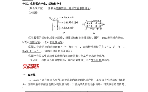 专题08生命活动的调节机制-备战2021年高考生物核心考点透析（原卷版）_新高考复习资料_2021年新高考资料_备战2021年高考生物核心考点透析