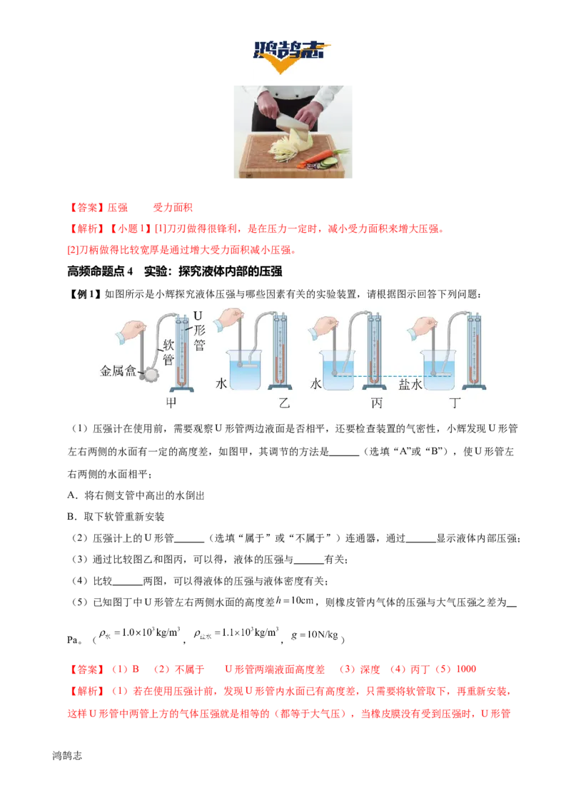 专题10压强（4大模块知识清单+5个易混易错+5种方法技巧+典例真题精析）（解析版）_8、物理总复习_物理一轮复习