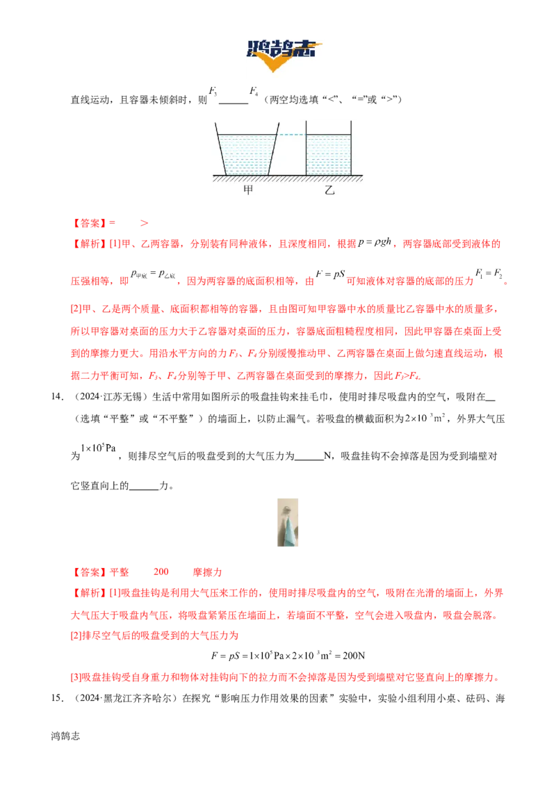 专题10压强（4大模块知识清单+5个易混易错+5种方法技巧+典例真题精析）（解析版）_8、物理总复习_物理一轮复习