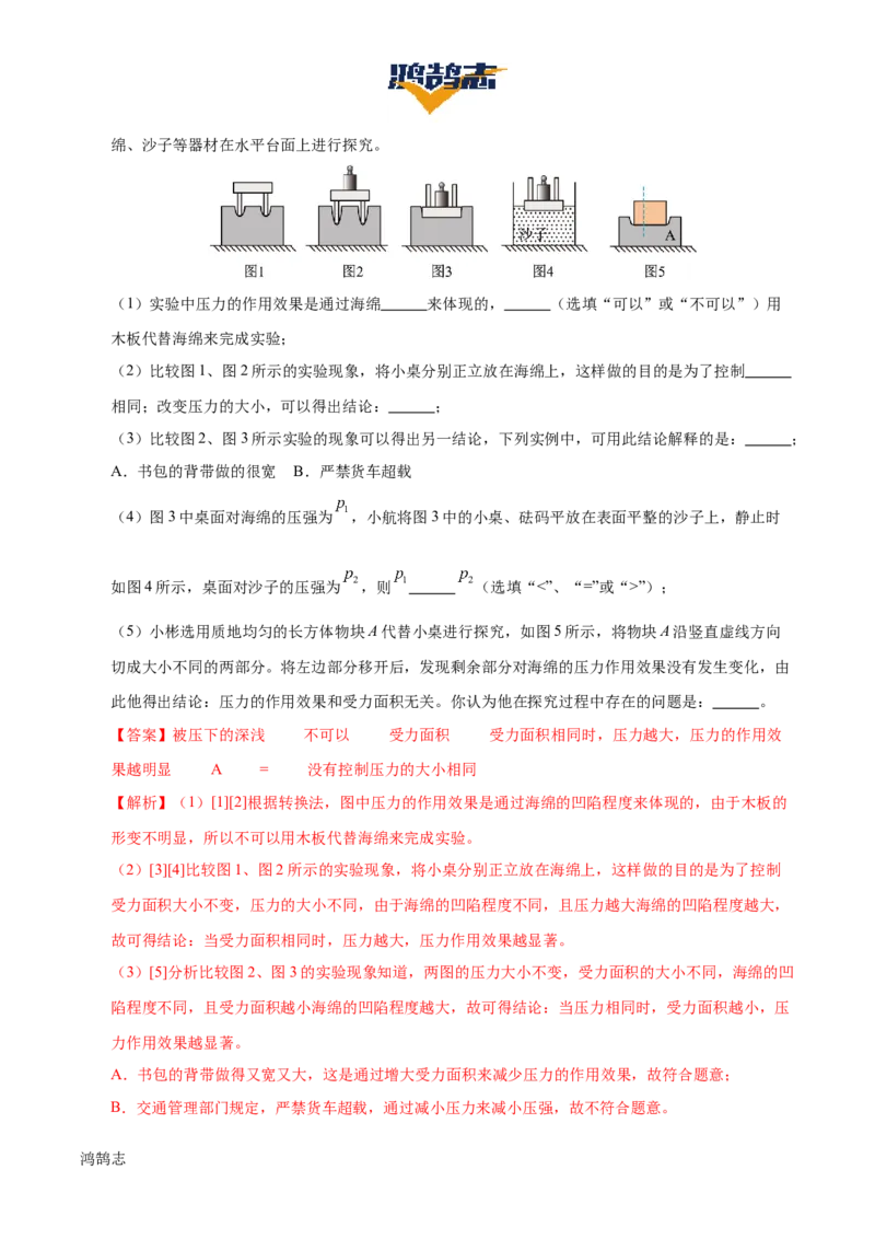 专题10压强（4大模块知识清单+5个易混易错+5种方法技巧+典例真题精析）（解析版）_8、物理总复习_物理一轮复习