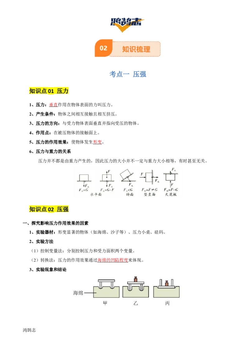 专题10压强（4大模块知识清单+5个易混易错+5种方法技巧+典例真题精析）（解析版）_8、物理总复习_物理一轮复习