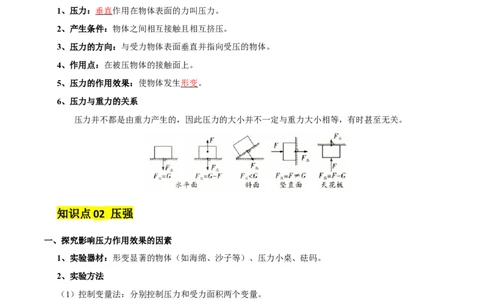 专题10压强（4大模块知识清单+5个易混易错+5种方法技巧+典例真题精析）（解析版）_8、物理总复习_物理一轮复习