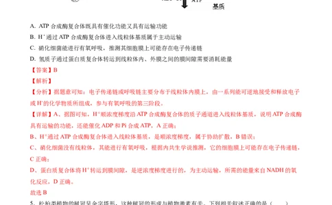 黄金卷02（解析版）-赢在高考&middot;黄金8卷备战2024年高考生物模拟卷（河北专用）_2024年新高考资料_4.2024高考模拟预测试卷