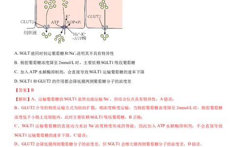 黄金卷02（解析版）_2024年新高考资料_4.2024高考模拟预测试卷_赢在高考&middot;黄金8卷备战2024年高考生物模拟卷（湖南专用）31263208