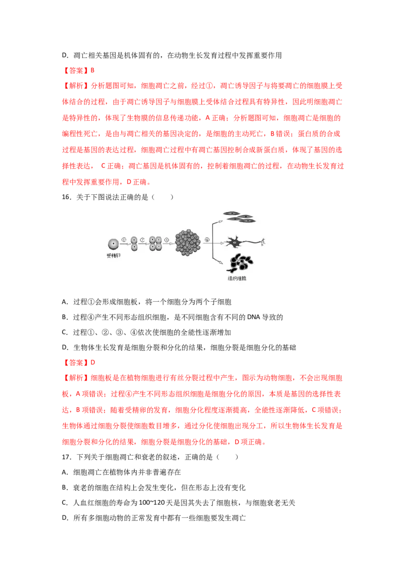 专题12_细胞的分化、衰老、凋亡与癌变(教师版)_新高考复习资料_2023年新高考复习资料_二轮复习_增分要点2023高考生物二轮复习专题解读和分层训练291073137