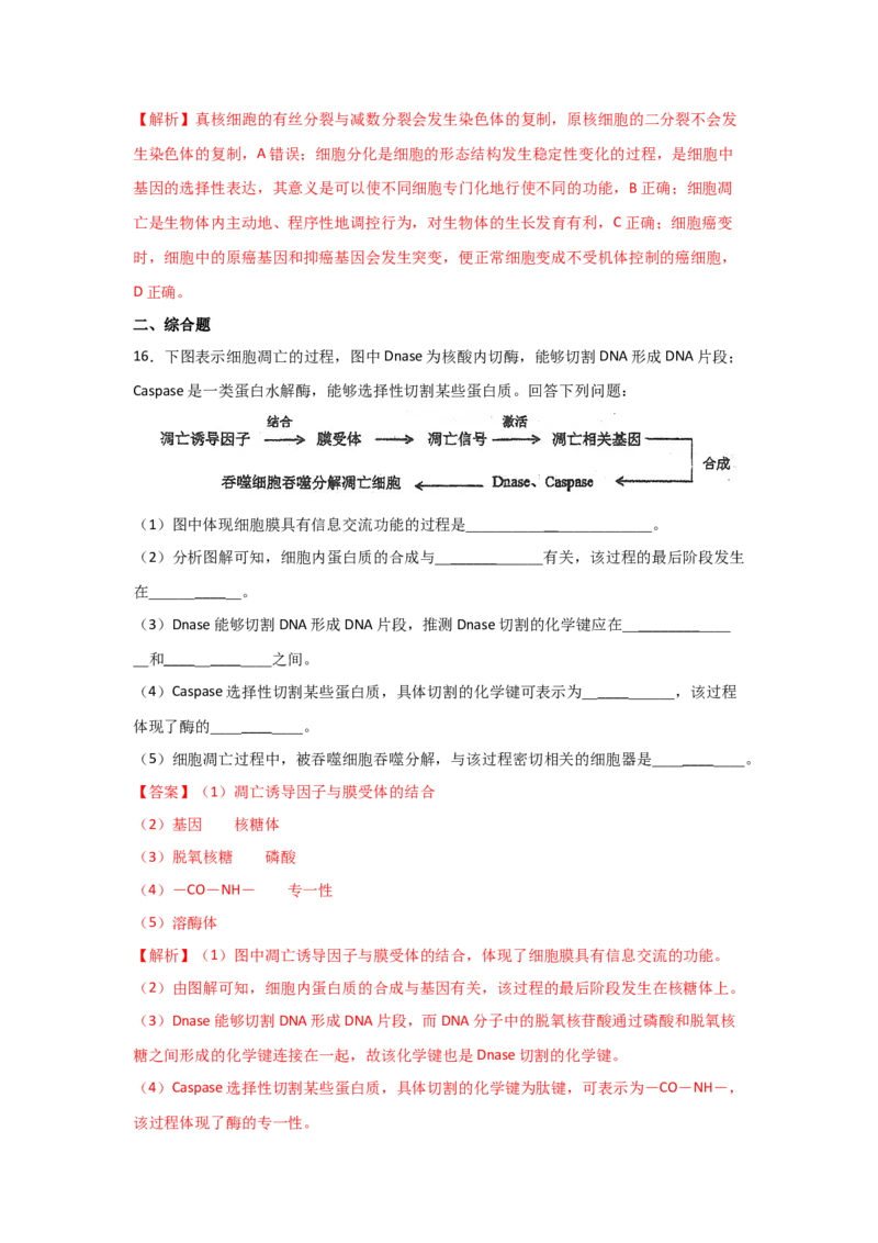 专题12_细胞的分化、衰老、凋亡与癌变(教师版)_新高考复习资料_2023年新高考复习资料_二轮复习_增分要点2023高考生物二轮复习专题解读和分层训练291073137