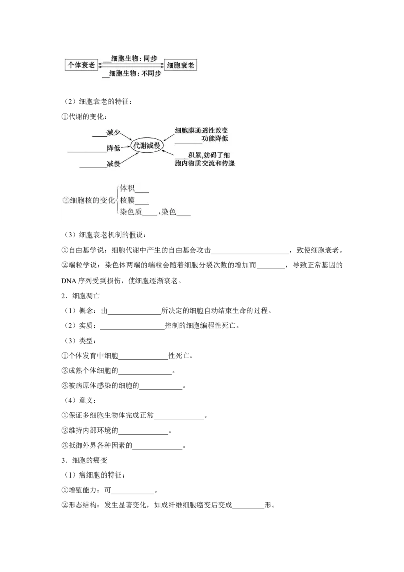专题12_细胞的分化、衰老、凋亡与癌变(教师版)_新高考复习资料_2023年新高考复习资料_二轮复习_增分要点2023高考生物二轮复习专题解读和分层训练291073137